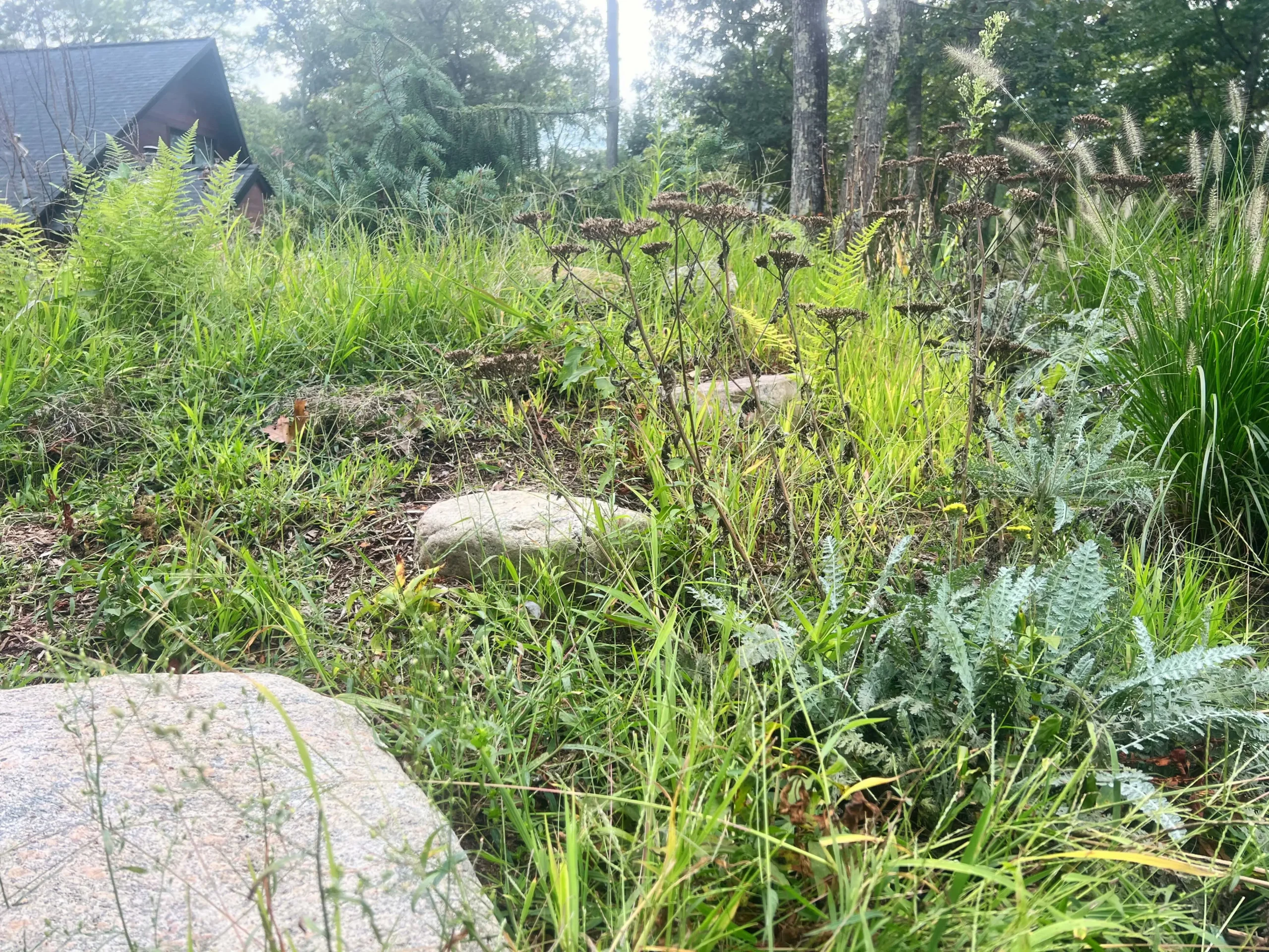When the Weeds Win